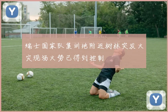 瑞士国家队集训地附近树林突发火灾现场火势已得到控制